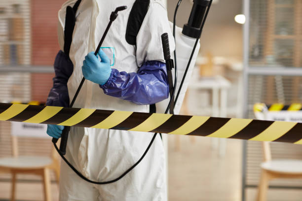 Professional Odor Removal technician working in Valley City, OH